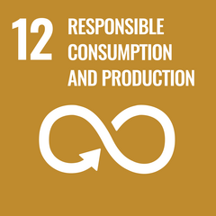 SDG 12 — Responsible Consumption and Production (supporting goal) · Employees contribute to sustainable manufacturing and circular production practices. SDG 12 — Responsible Consumption and Production: Employees contribute to sustainable manufacturing and circular production practices.
